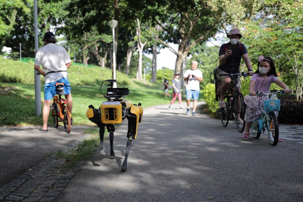 Spot Robot dog in park